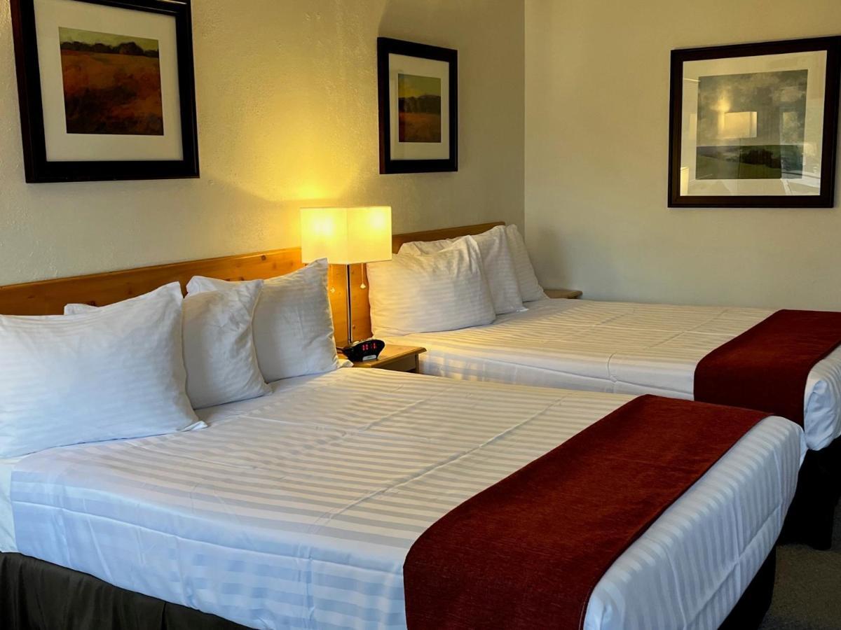 Lakeview Motel Haliburton Dış mekan fotoğraf