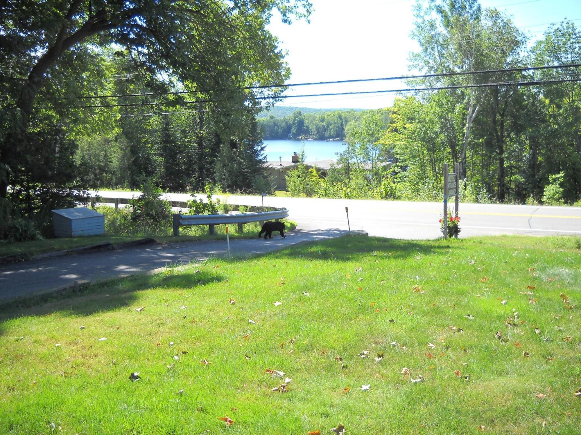 Lakeview Motel Haliburton Dış mekan fotoğraf