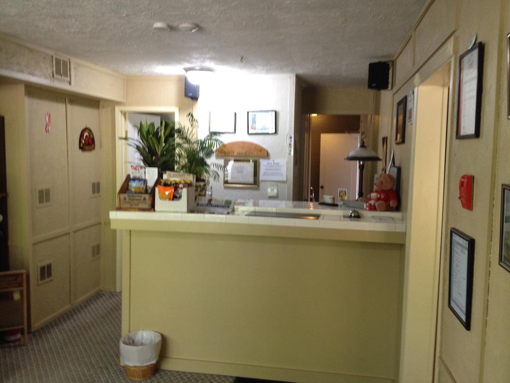 Lakeview Motel Haliburton Dış mekan fotoğraf