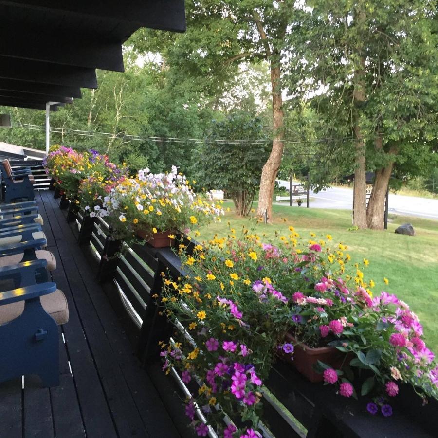 Lakeview Motel Haliburton Dış mekan fotoğraf